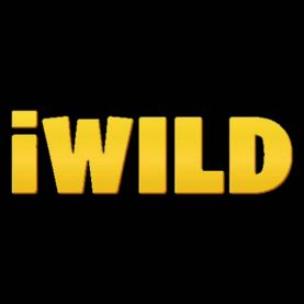 iWild Casino logo kasyno online